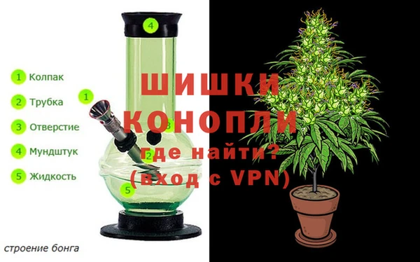 стафф Балабаново